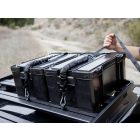  Cub Pack - by Front Runner