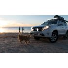 LightFORCE Venom Professional Edition LED Fényszóró (Egy darab)